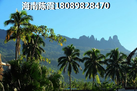 萬泉·山水綠都生紙的醉大因素是什么？