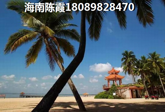 金島海一方