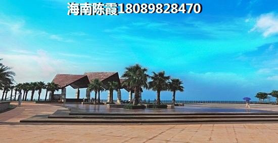 海口限購何時取消