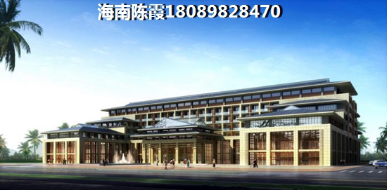 海南海口2022購房政策，置地東方廣場限購嗎