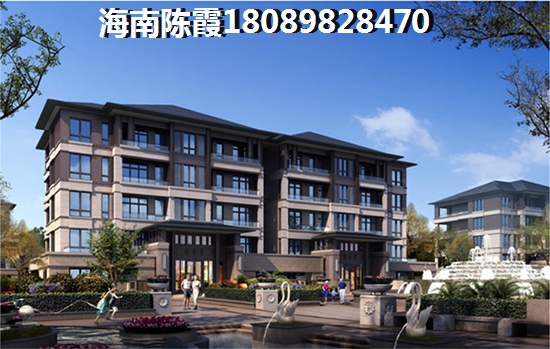 儋州市買房touzi攻略