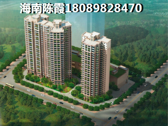定安天長椰風水韻價格漲了嗎？1