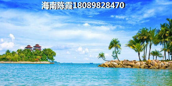 金泰海名軒優勢