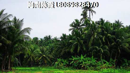望海金豪紙得擁有嗎？