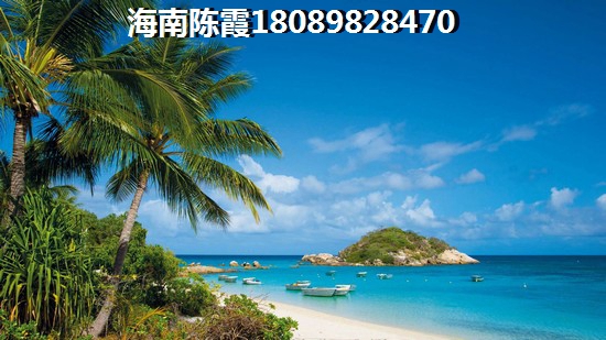 鴻基湖畔新城將來發展趨勢~