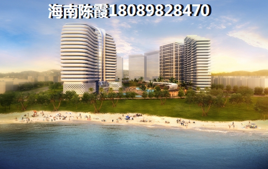 海南·福里關注度倍增~
