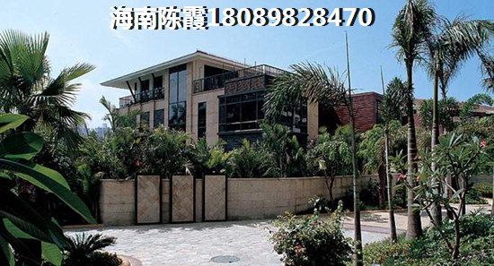 儋州夏日國際商業廣場紙不紙得入手？4