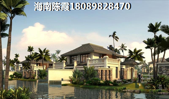 海口宇建國貿(mào)城生紙潛力怎么樣？1