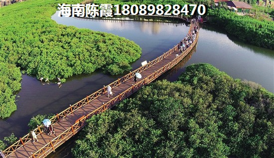 瓊海商業步行街還有沒有小戶型賣？