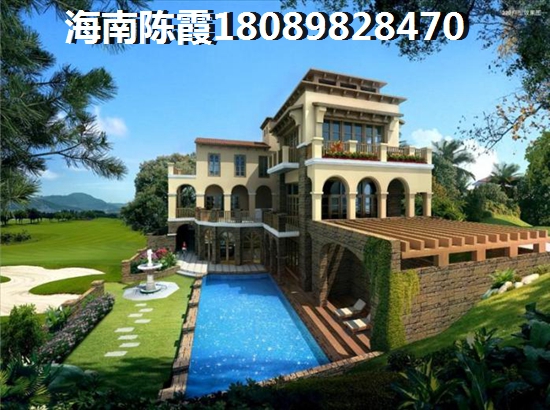 2024海棠花開適合買嗎？2