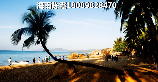為什么都在<font color=red>萬花坊三期鉑金華府</font>買房？為何都在海南海口買房？