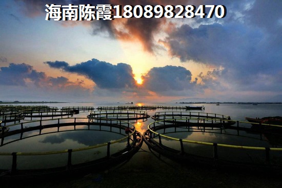 海南海口·憑海臨江