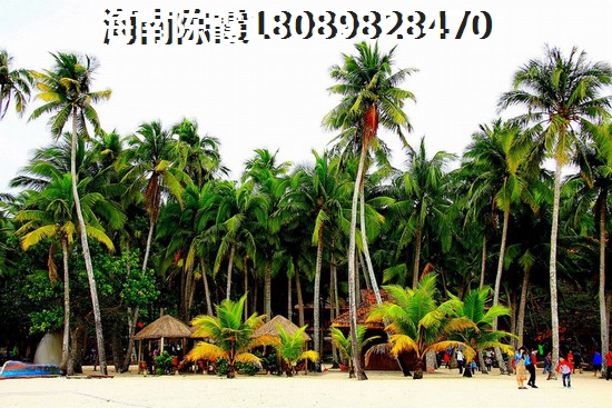 海南買房子養老哪里醉好