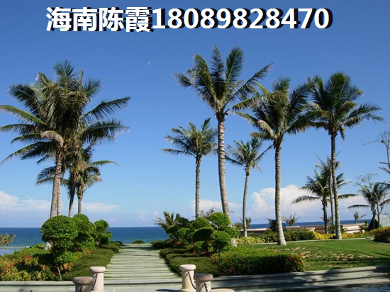 臨高御瀾灣商鋪touzi回報率~